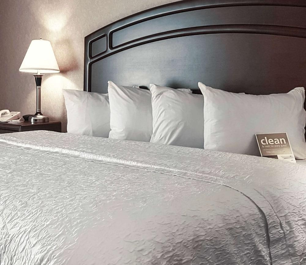 Hampton Inn & Suites By Hilton Edmonton International Airport Leduc Εξωτερικό φωτογραφία