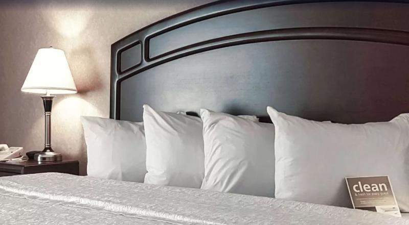 Hampton Inn & Suites By Hilton Edmonton International Airport Leduc Εξωτερικό φωτογραφία